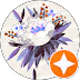 White water lily with purple-tinted petals and lily pads floating on water, accompanied by a translucent orange star icon.